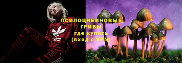 мескалин Абаза