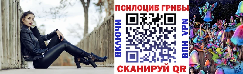 Галлюциногенные грибы GOLDEN TEACHER  Усть-Кут 